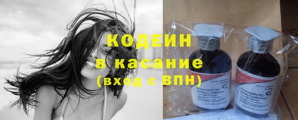 шишки Арсеньев
