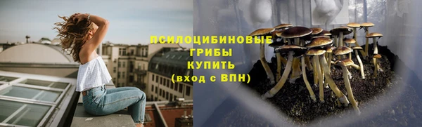 шишки Арсеньев