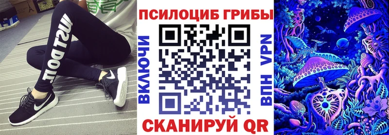 Купить  Мелеуз  Псилоцибиновые грибы GOLDEN TEACHER 